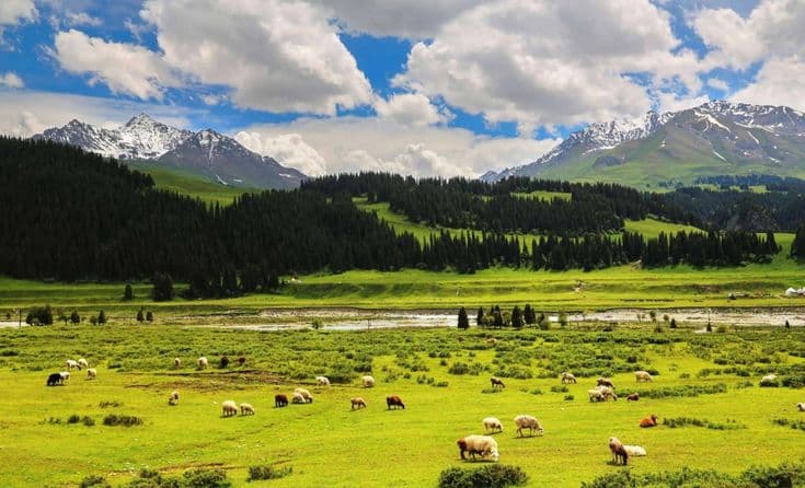 Huiteng Xile Grassland