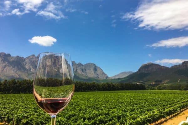Cape Winelands