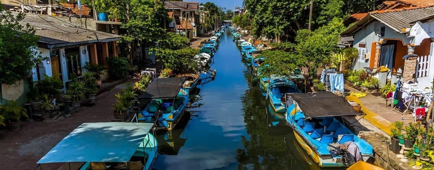 SRI LANKA IN DEPTH: PREMIUM EXPEDITION image 4