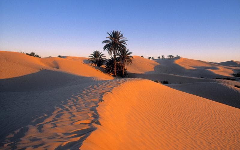 DISCOVER THE HIDDEN GEMS: NORTHERN AFRICA TUNISIA ALGERIA image 3